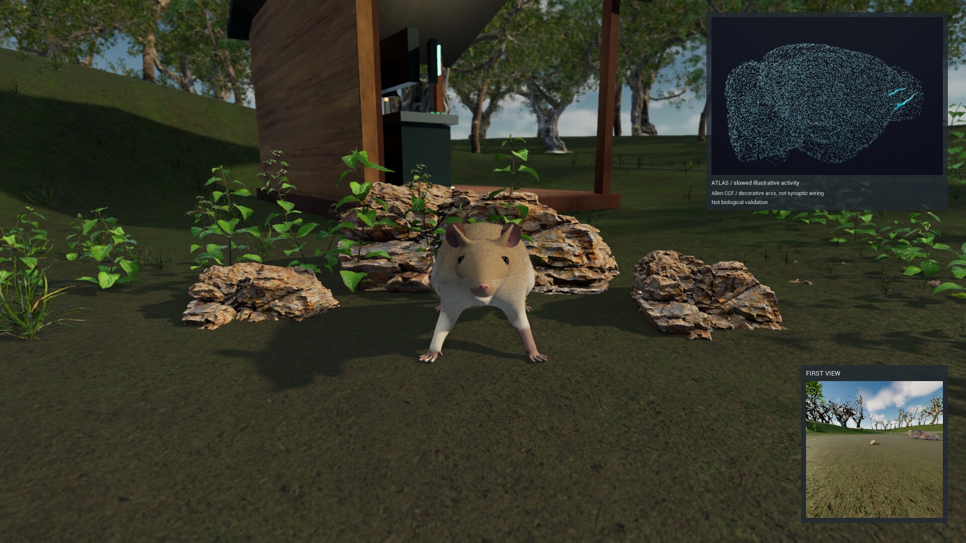 Mouse in the Unreal woodland scene