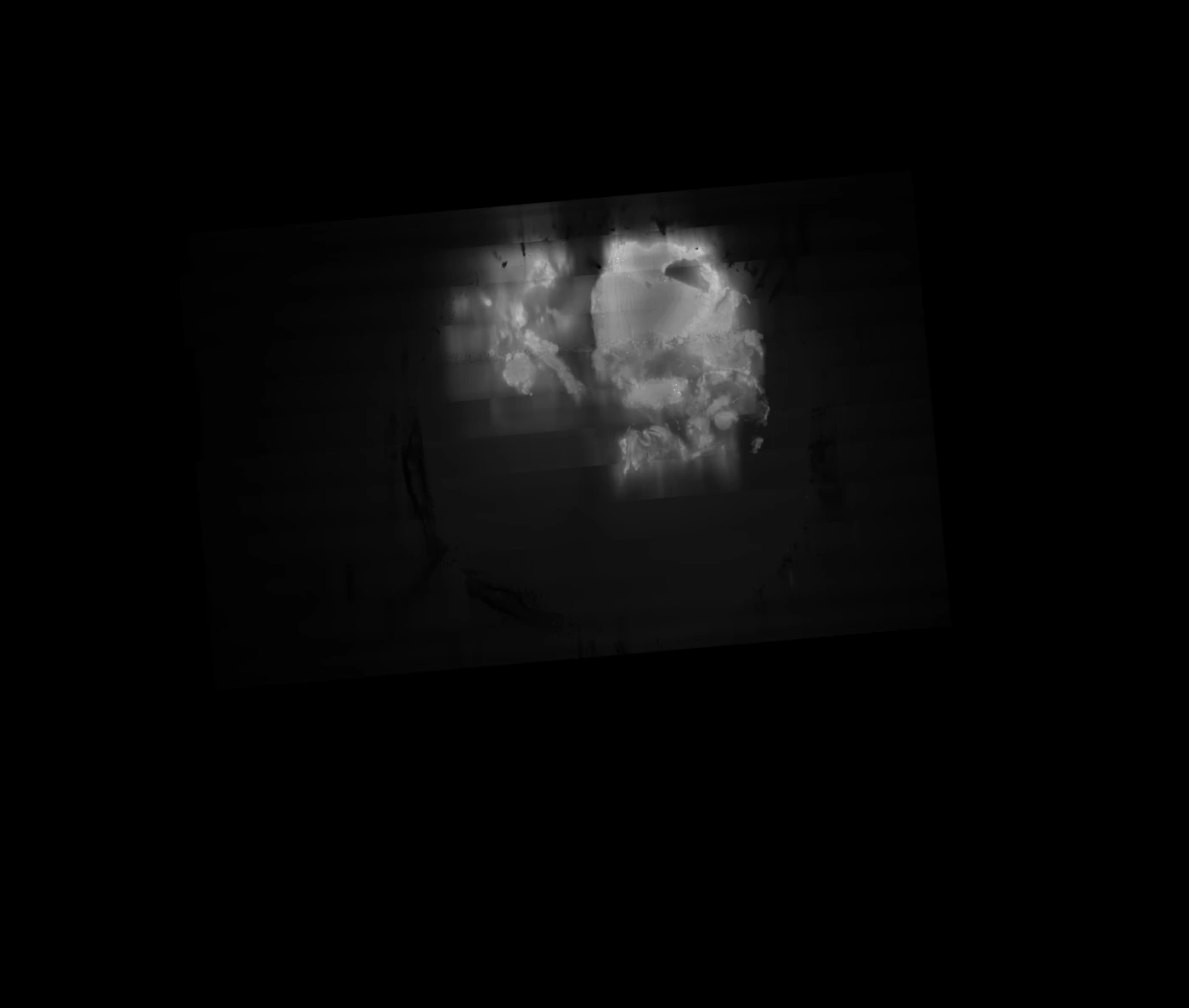 Overview of supplied mouse-head image file 01